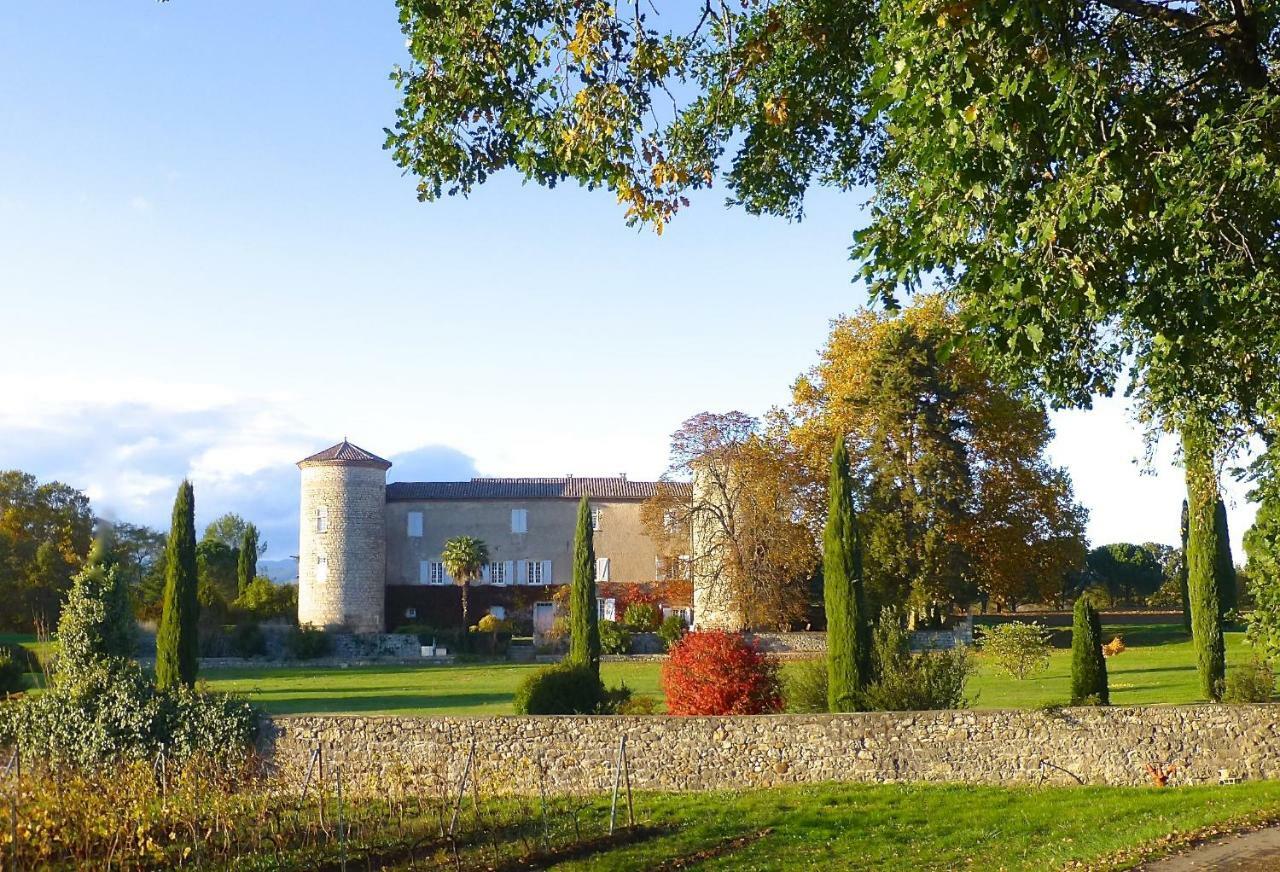 Gites Chateau De La Selve 그로스피에르 외부 사진